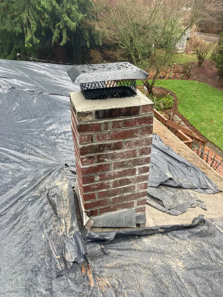 Chimney Restoration by Handyman Rescue Team - Photo 5