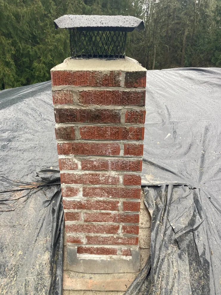 Chimney Restoration by Handyman Rescue Team - Photo 19