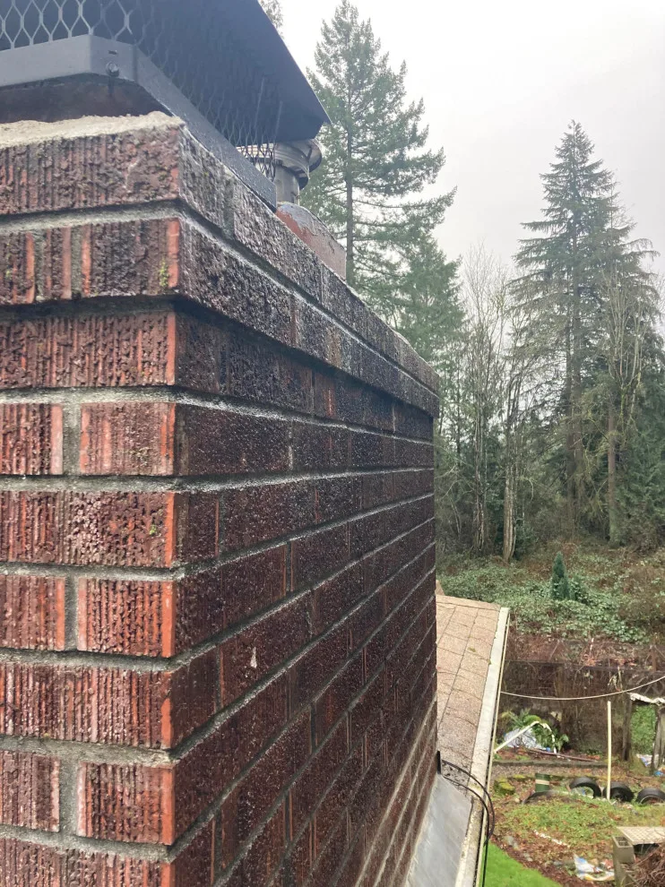 Chimney Restoration by Handyman Rescue Team - Photo 4