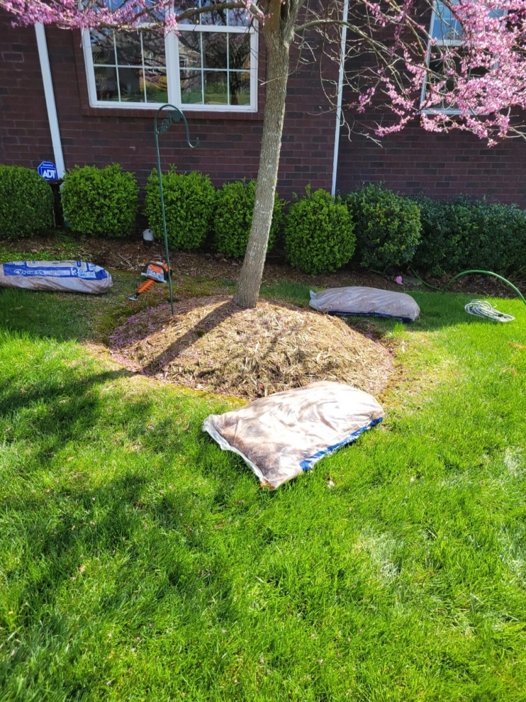 Alberto Alavez Professional Lawn Services LLC 14 by Alberto Alavez Professional Lawn Services LLC - Photo 6