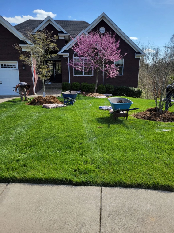 Alberto Alavez Professional Lawn Services LLC 14 by Alberto Alavez Professional Lawn Services LLC - Photo 7