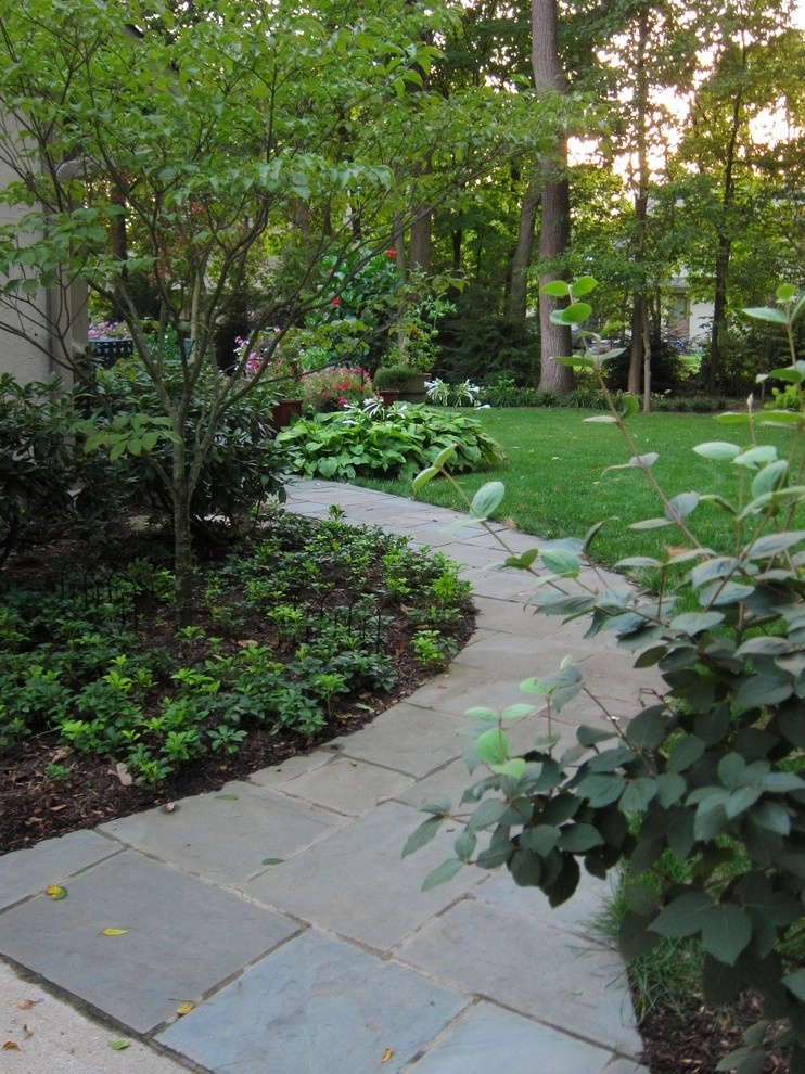 Squeezed Patio to Expanded Everything by Jacobs Grant Design Ltd - Photo 2