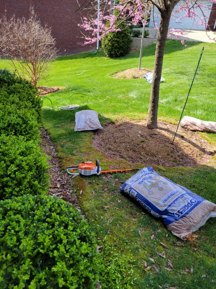 Alberto Alavez Professional Lawn Services LLC 14 by Alberto Alavez Professional Lawn Services LLC - Photo 3