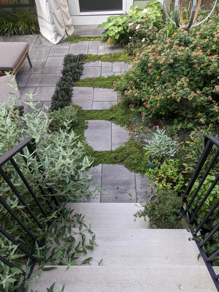 Small Lush Courtyard by Jacobs Grant Design Ltd - Photo 11
