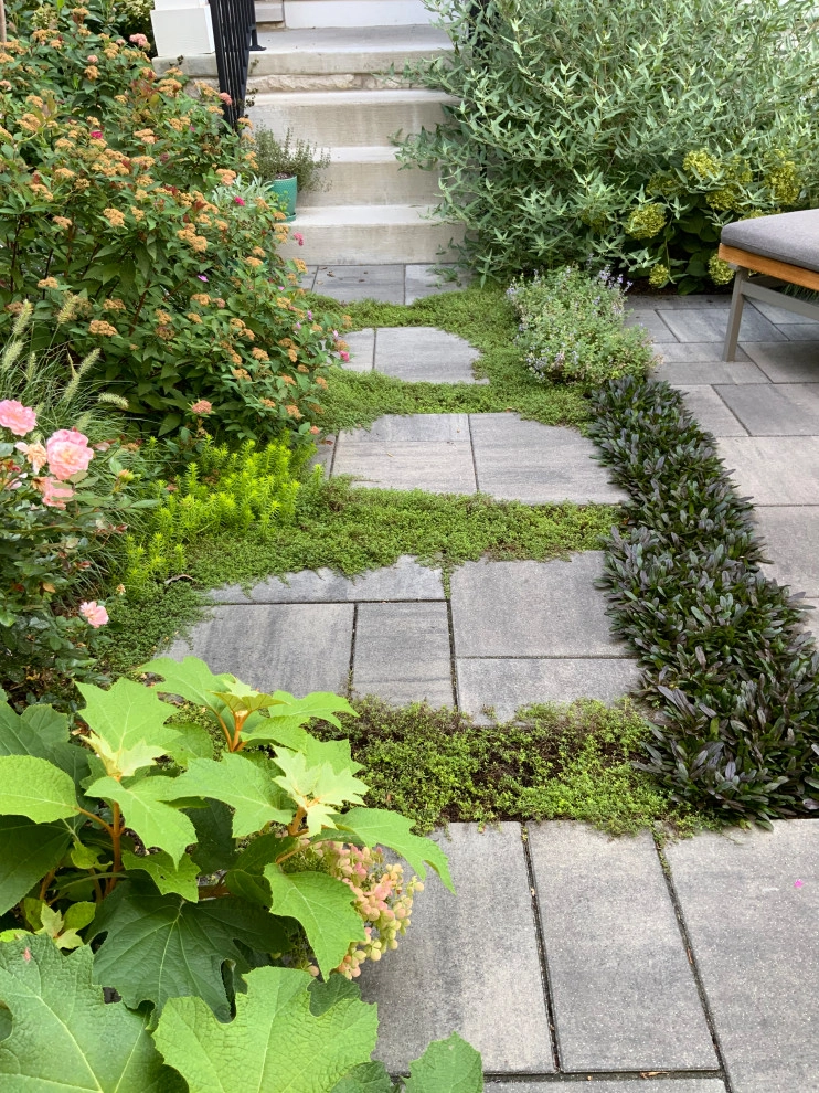 Small Lush Courtyard by Jacobs Grant Design Ltd - Photo 8