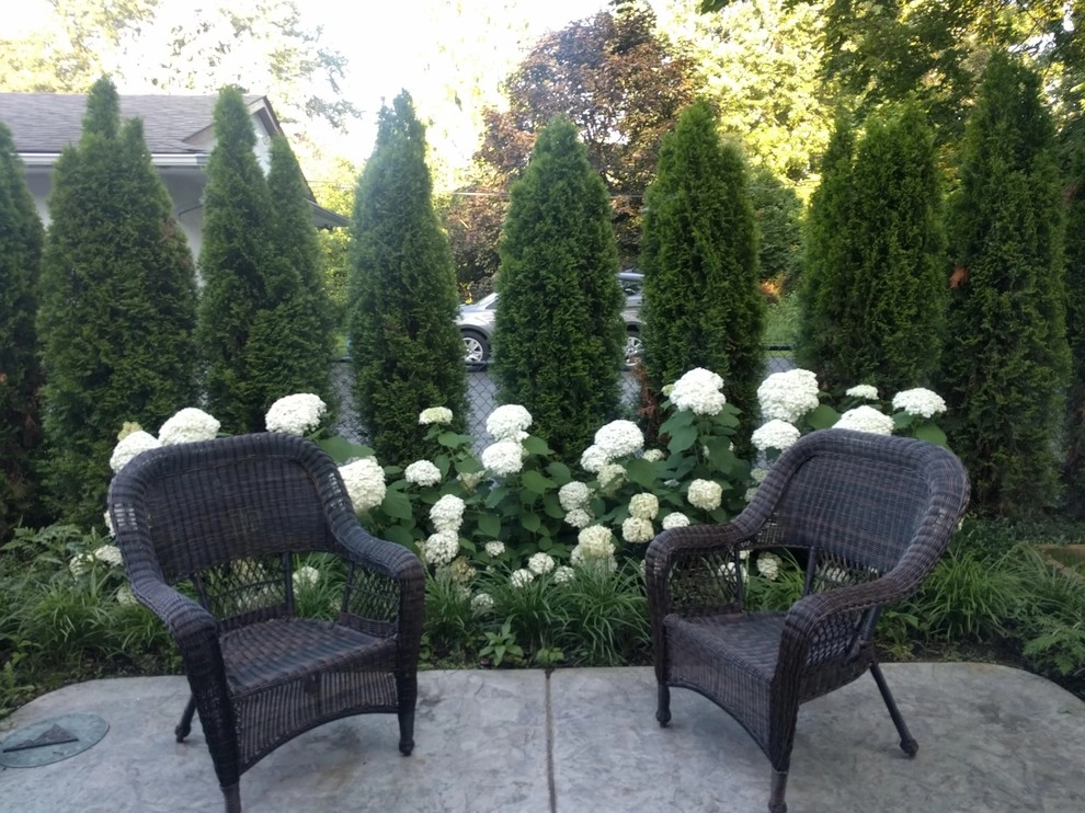 Bexley Home Makeover by Jacobs Grant Design Ltd - Photo 8