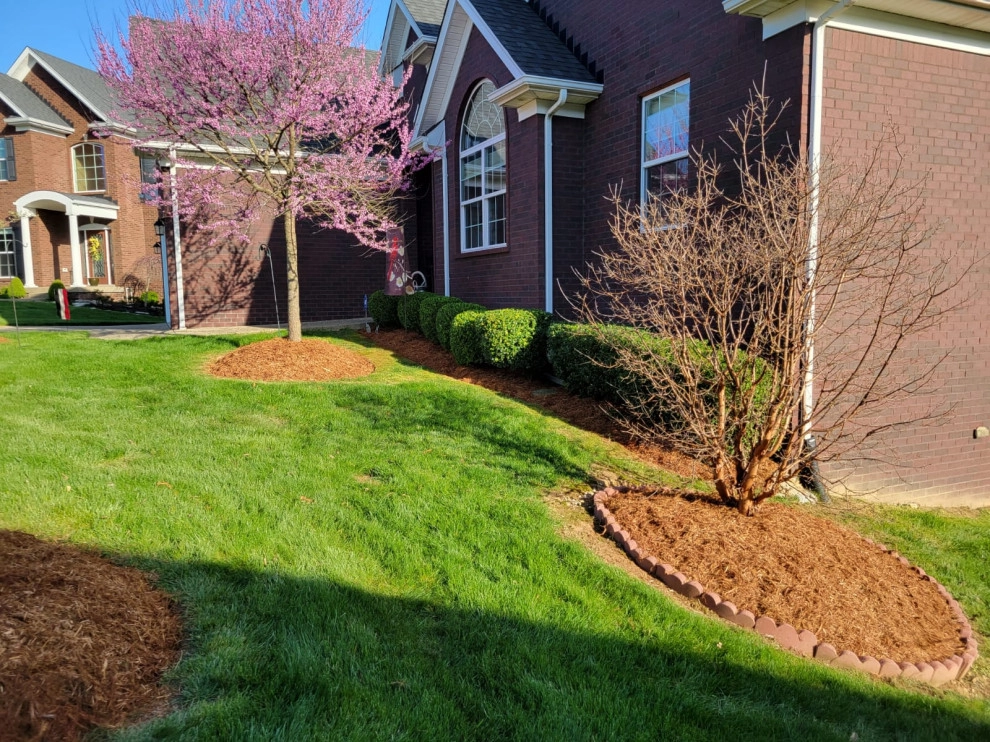 Alberto Alavez Professional Lawn Services LLC 14 by Alberto Alavez Professional Lawn Services LLC - Photo 8