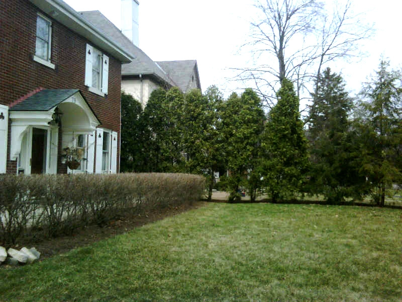 Front Yard Make Over by Jacobs Grant Design Ltd - Photo 2
