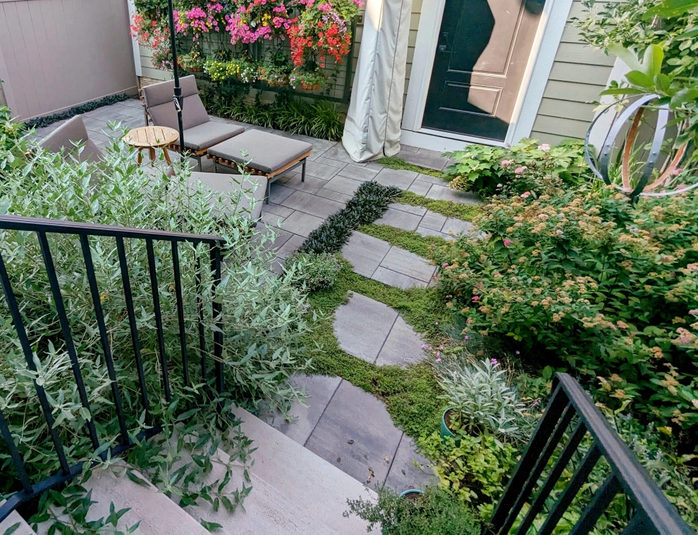 Small Lush Courtyard by Jacobs Grant Design Ltd - Photo 5