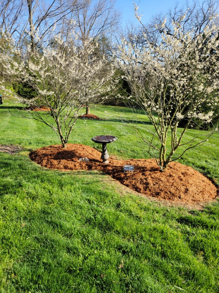 Alberto Alavez Professional Lawn Services LLC 14 by Alberto Alavez Professional Lawn Services LLC - Photo 12
