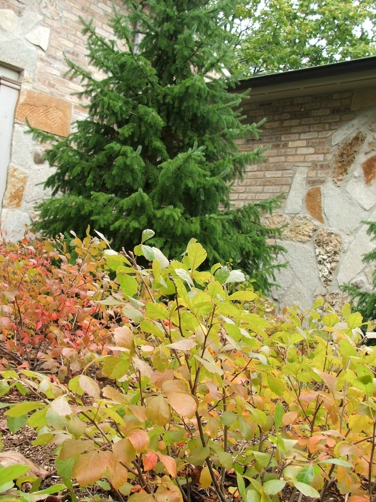 Plantings by Jane Dilworth & Associates - Photo 7