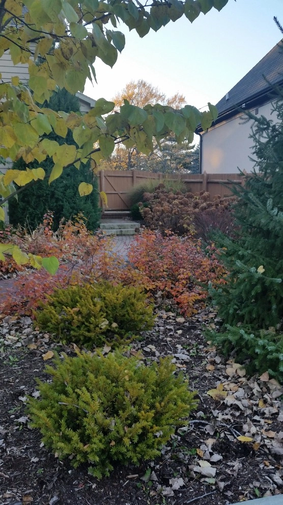 Plantings by Jane Dilworth & Associates - Photo 5