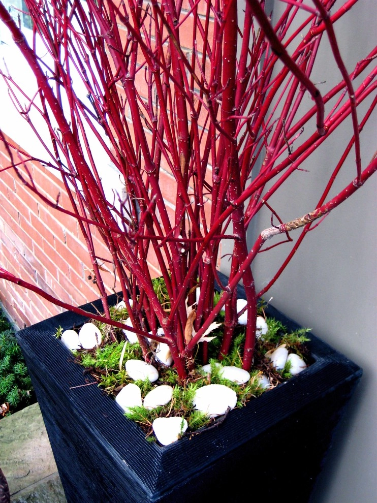Winter Containers by Jane Dilworth & Associates - Photo 5