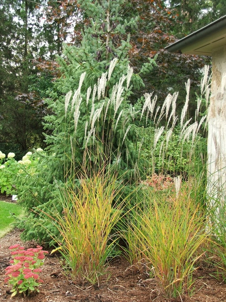 Plantings by Jane Dilworth & Associates - Photo 8