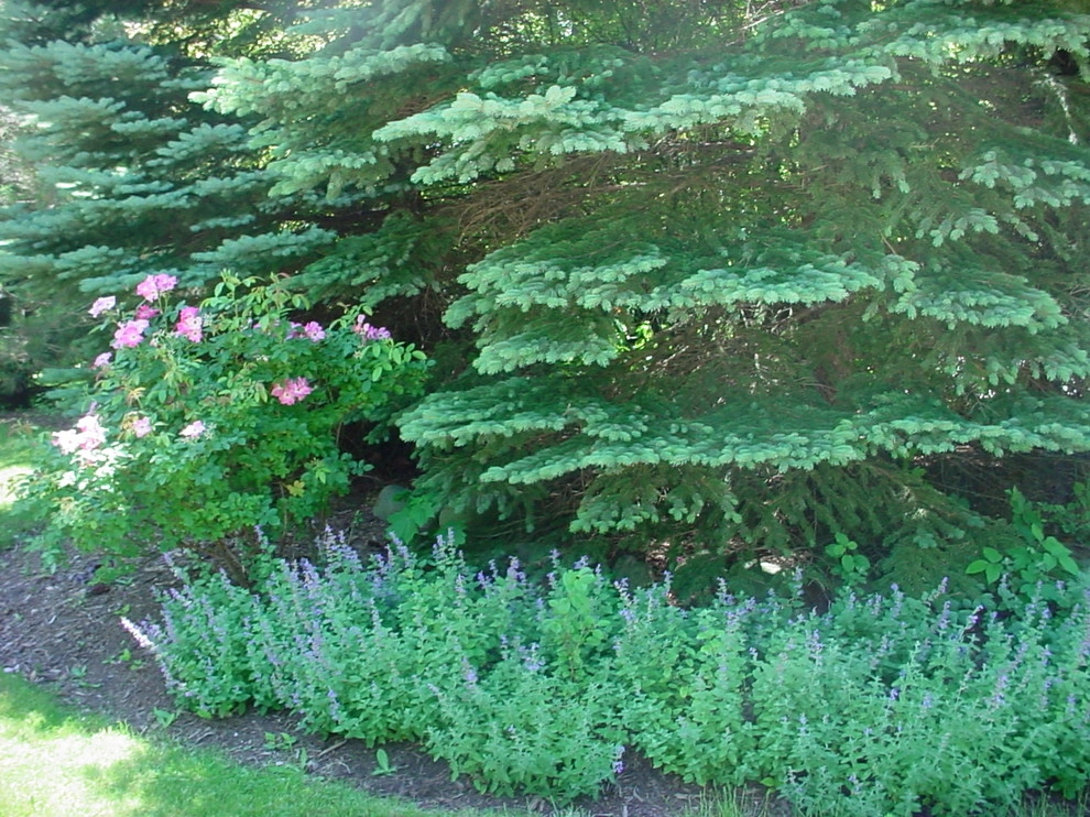 Plantings by Jane Dilworth & Associates - Photo 6