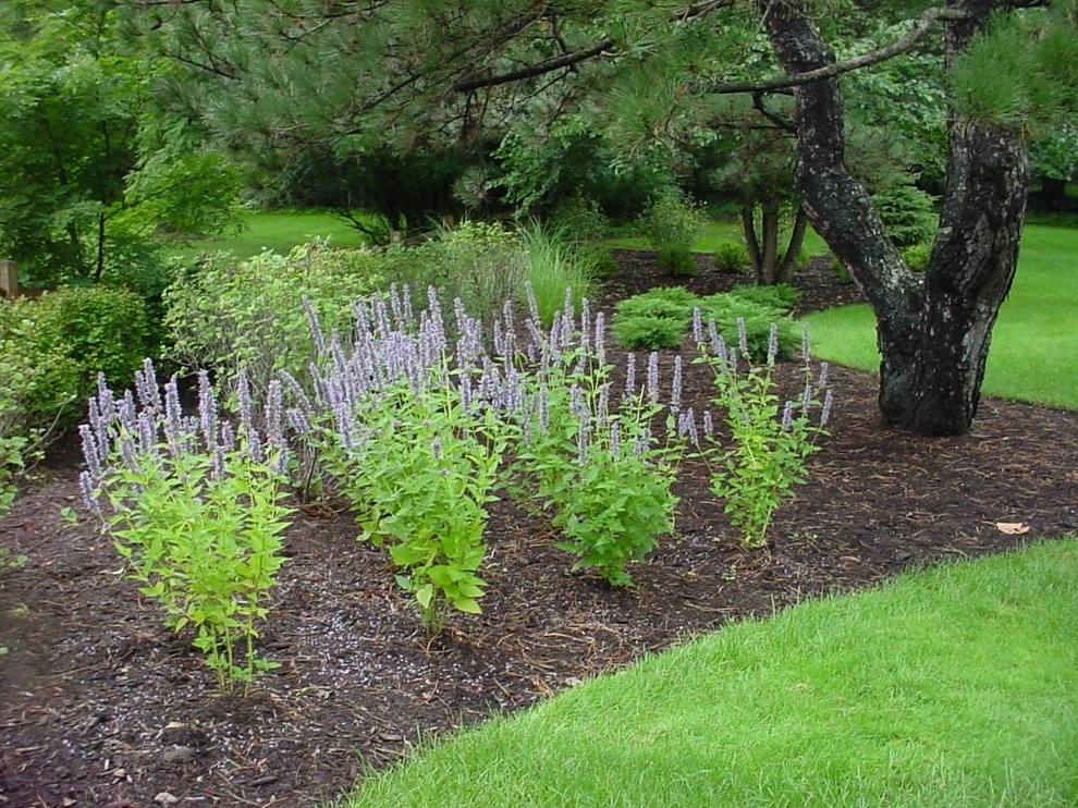 Plantings by Jane Dilworth & Associates - Photo 11