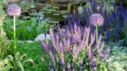 Plantings by Jane Dilworth & Associates - Photo 4