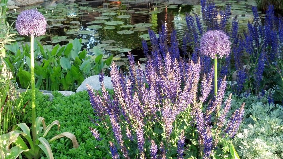 Landscape Gallery by Jane Dilworth & Associates - Photo 6