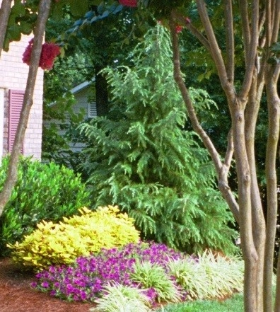 The Joy of Plants! by Allin Landscaping - Photo 17