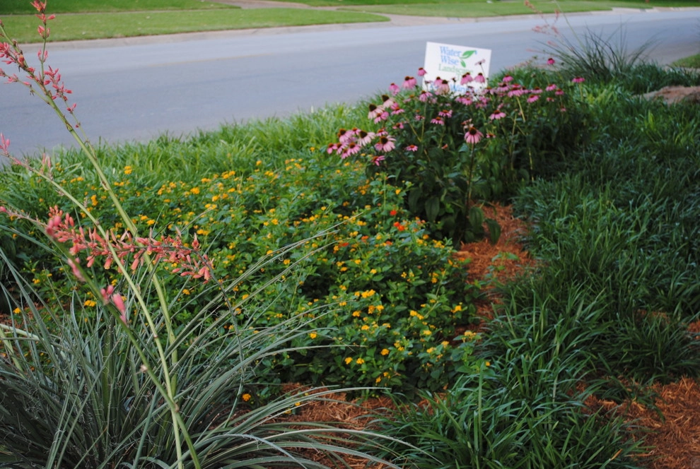 Jason Lackey, Landscape Designer - Photo 10