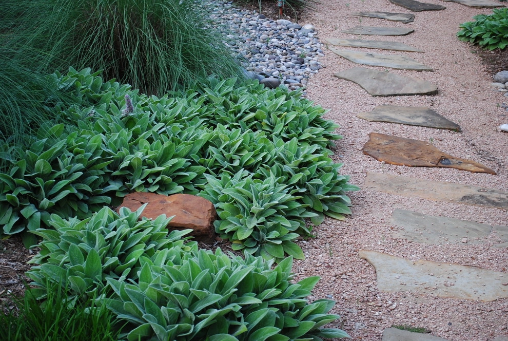 Dan and Tom by Jason Lackey, Landscape Designer - Photo 3