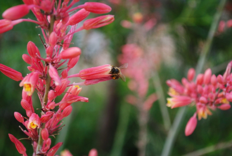 Jason Lackey, Landscape Designer - Photo 8