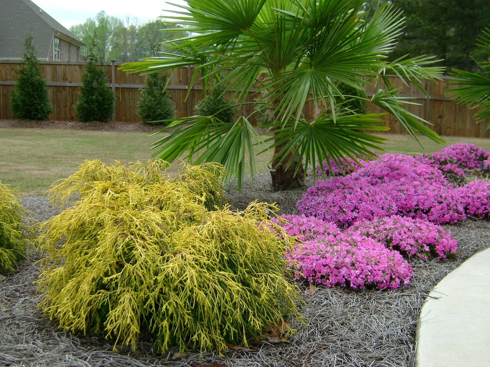 The Joy of Plants! by Allin Landscaping - Photo 24