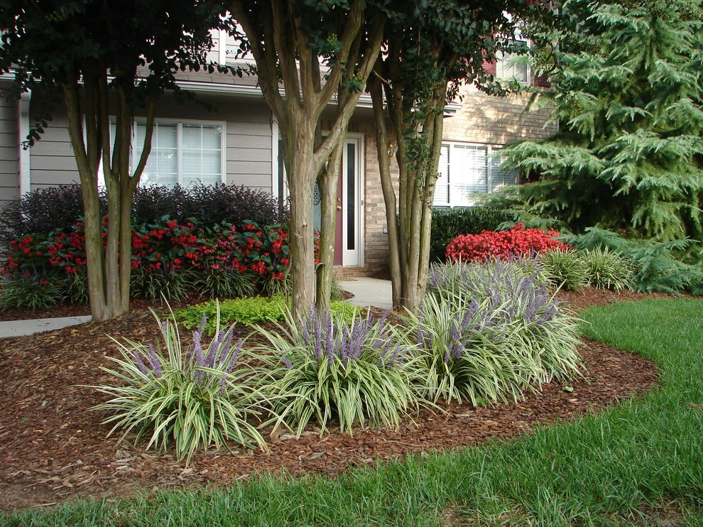 The Joy of Plants! by Allin Landscaping - Photo 4