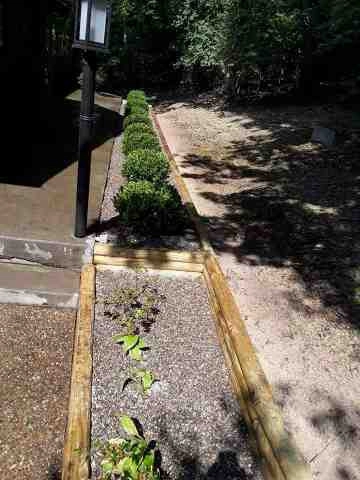 Alberto Alavez Professional Lawn Services LLC 1 by Alberto Alavez Professional Lawn Services LLC - Photo 46