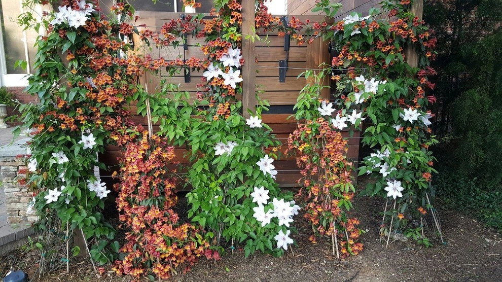 The Joy of Plants! by Allin Landscaping - Photo 20