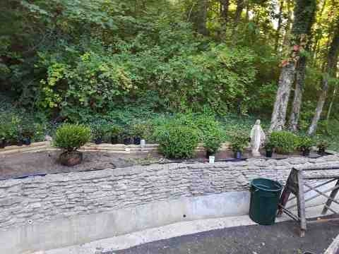 Alberto Alavez Professional Lawn Services LLC 1 by Alberto Alavez Professional Lawn Services LLC - Photo 41