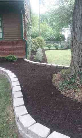 Alberto Alavez Professional Lawn Services LLC 1 by Alberto Alavez Professional Lawn Services LLC - Photo 23