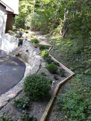 Alberto Alavez Professional Lawn Services LLC 1 by Alberto Alavez Professional Lawn Services LLC - Photo 6