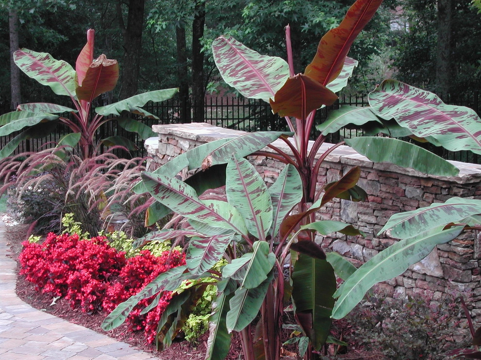 The Joy of Plants! by Allin Landscaping - Photo 14