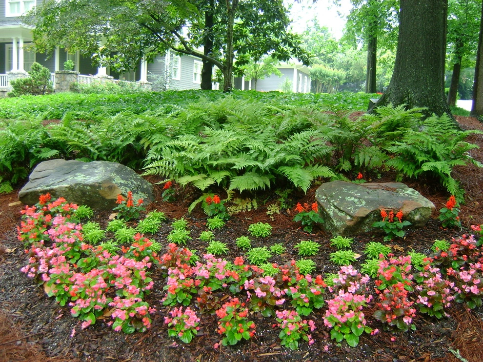 The Joy of Plants! by Allin Landscaping - Photo 25