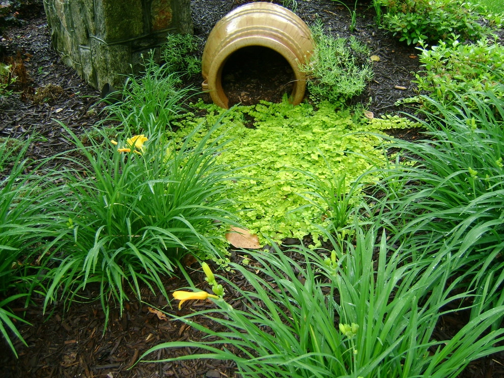 The Joy of Plants! by Allin Landscaping - Photo 26