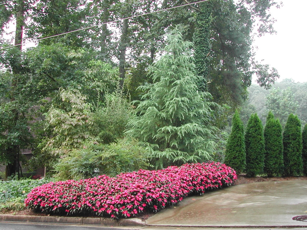 The Joy of Plants! by Allin Landscaping - Photo 11