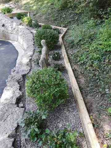 Alberto Alavez Professional Lawn Services LLC 1 by Alberto Alavez Professional Lawn Services LLC - Photo 28