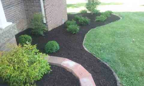 Alberto Alavez Professional Lawn Services LLC 1 by Alberto Alavez Professional Lawn Services LLC - Photo 5