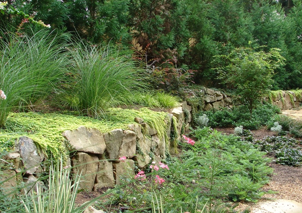 Woodland by Allin Landscaping - Photo 3