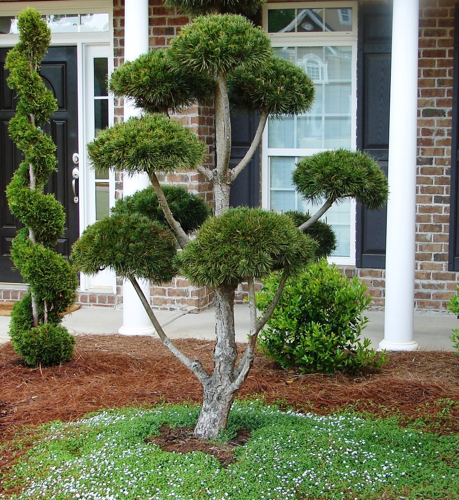 Allin Landscaping - Photo 11