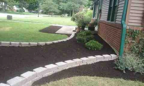 Alberto Alavez Professional Lawn Services LLC 1 by Alberto Alavez Professional Lawn Services LLC - Photo 38