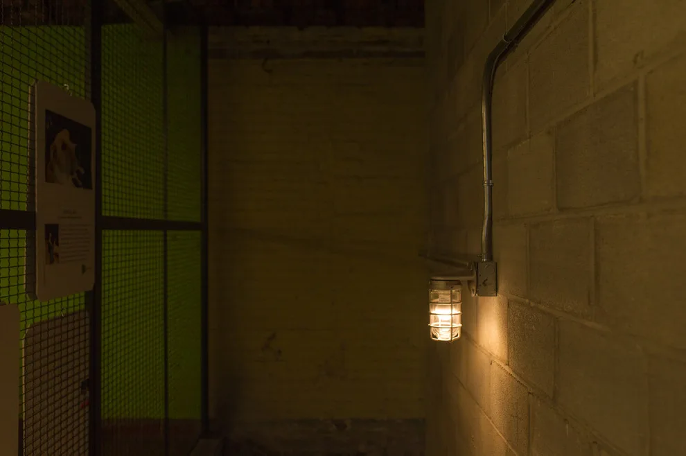 Commercial - The Pantatory Revamp by Crawford Builders - Photo 37
