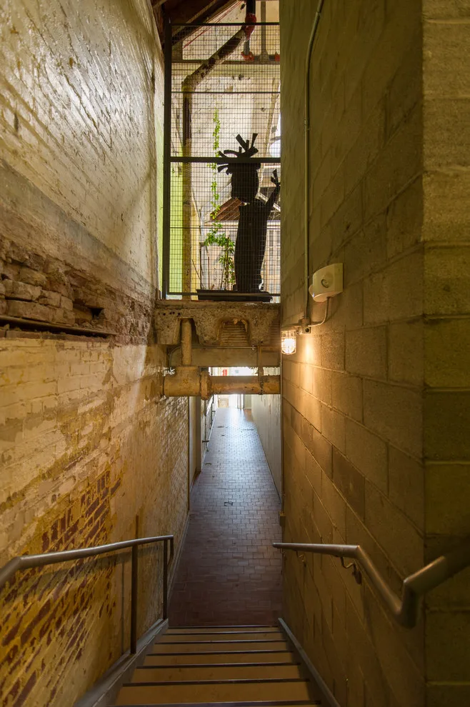 Commercial - The Pantatory Revamp by Crawford Builders - Photo 77