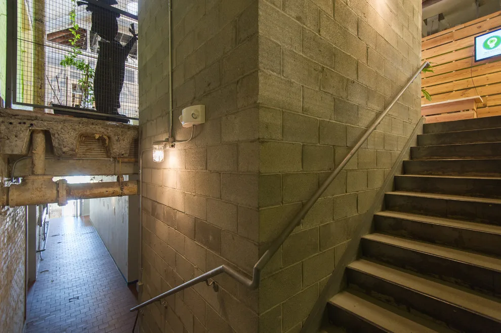Commercial - The Pantatory Revamp by Crawford Builders - Photo 18