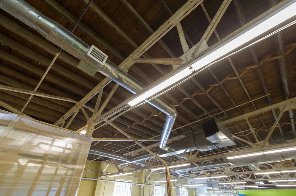Commercial - The Pantatory Revamp by Crawford Builders - Photo 5