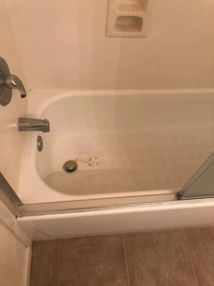 Guest Bathroom Completion by Visionary Home Remodeling Inc. - Photo 45