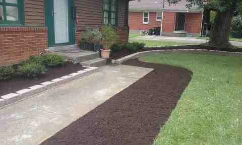 Alberto Alavez Professional Lawn Services LLC 1 by Alberto Alavez Professional Lawn Services LLC - Photo 42