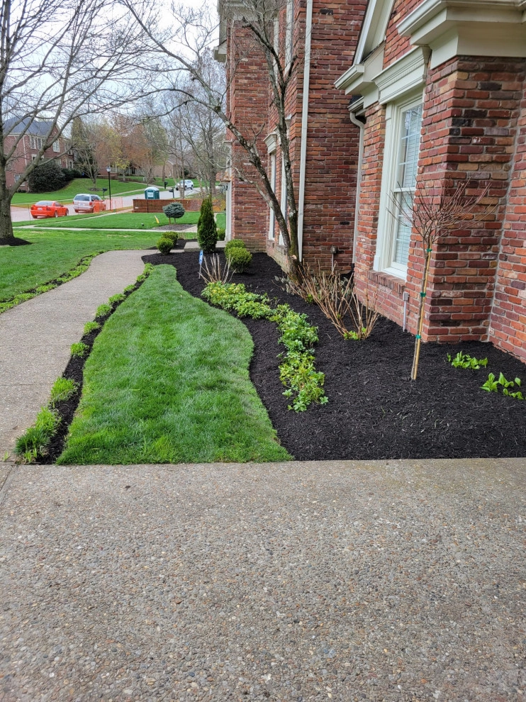 Alberto Alavez Professional Lawn Services LLC by Alberto Alavez Professional Lawn Services LLC - Photo 12
