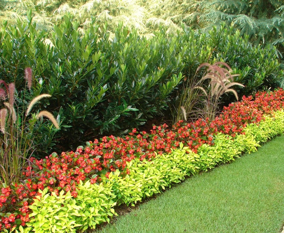 The Joy of Plants! by Allin Landscaping - Photo 27